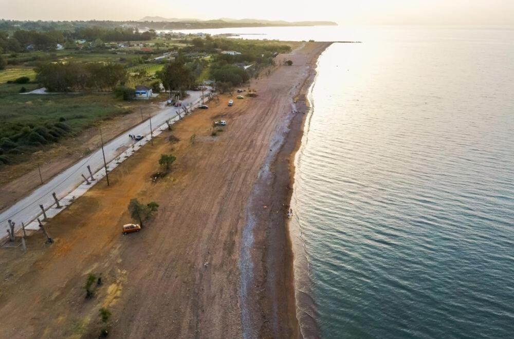 Sea Breeze Villa Kato Achaia Exteriör bild